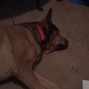 Meet your Posher, Terri